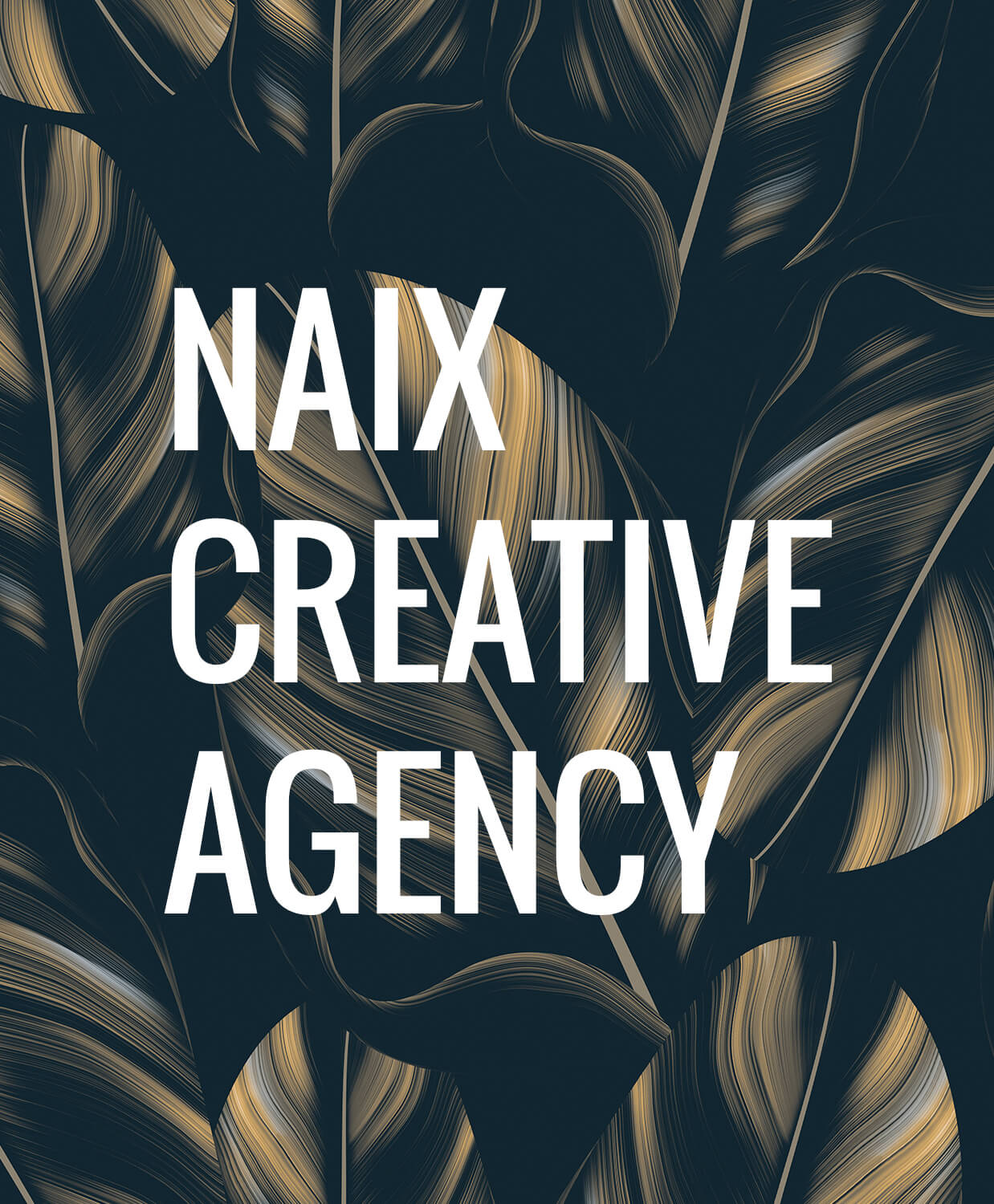 Naix Creative Agency